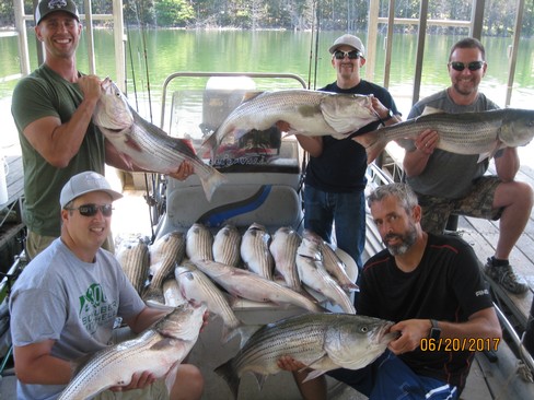 Nice Striped Bass